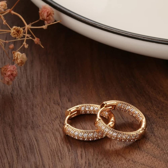 Earrings